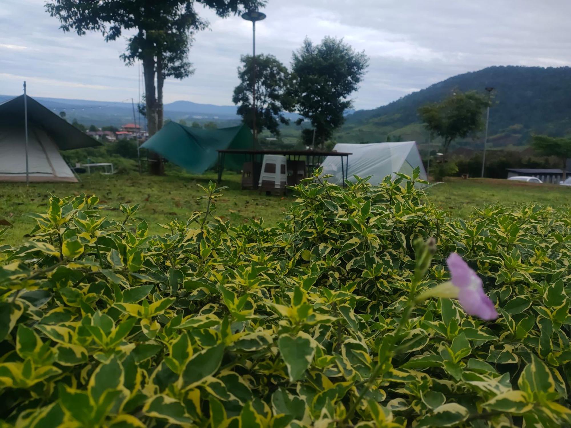 บ้านพักเกชิลตา เขาค้อวิวทะเลหมอก Екстериор снимка